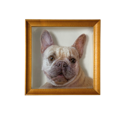 6-Layer 3D Pet acrylic commemorate paintings