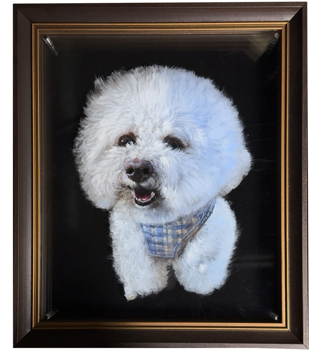 6-Layer 3D Pet acrylic commemorate paintings