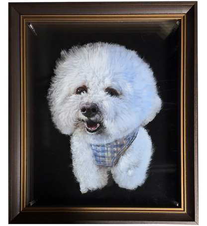 6-Layer 3D Pet acrylic commemorate paintings