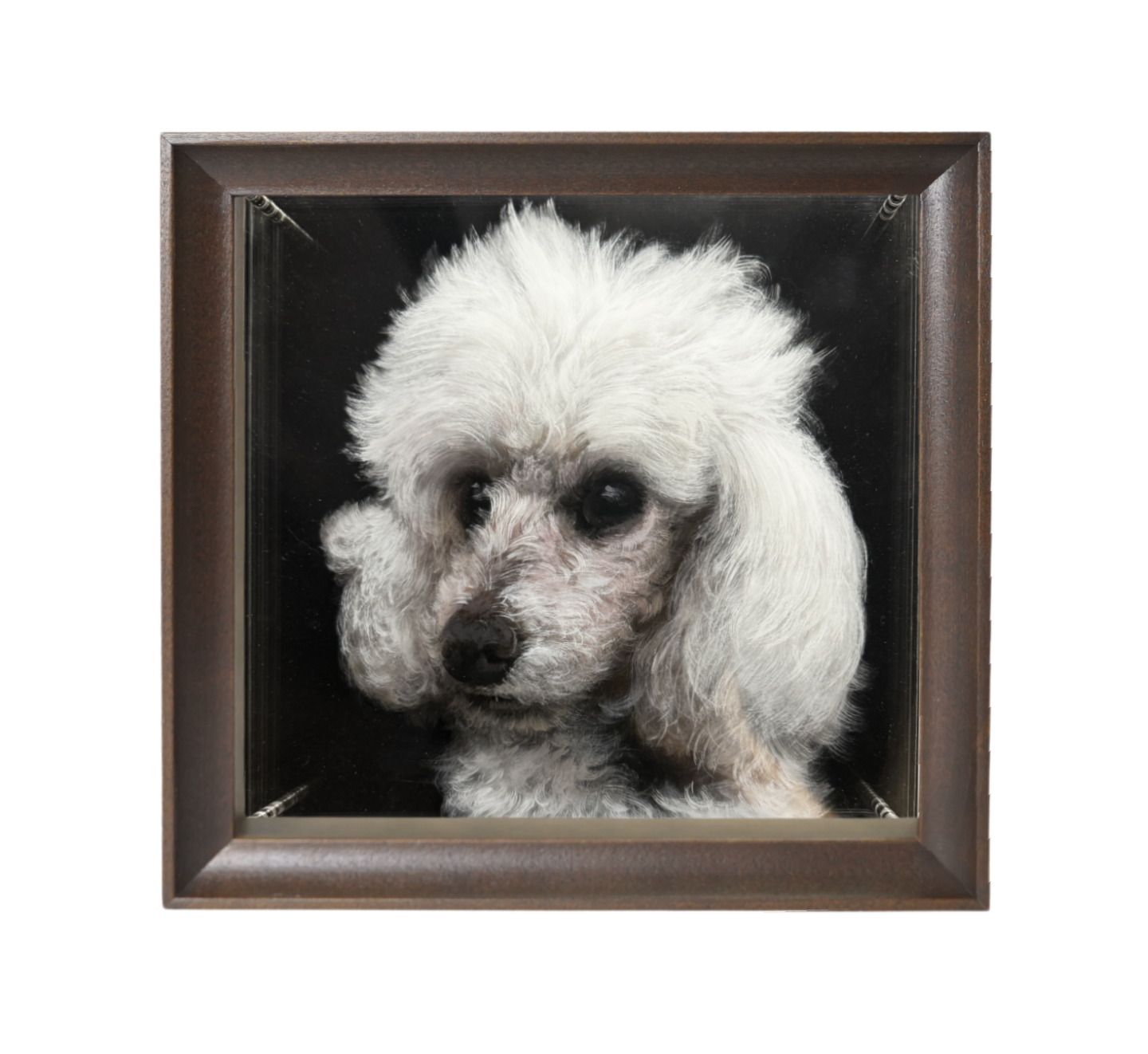 6-Layer 3D Pet acrylic commemorate paintings